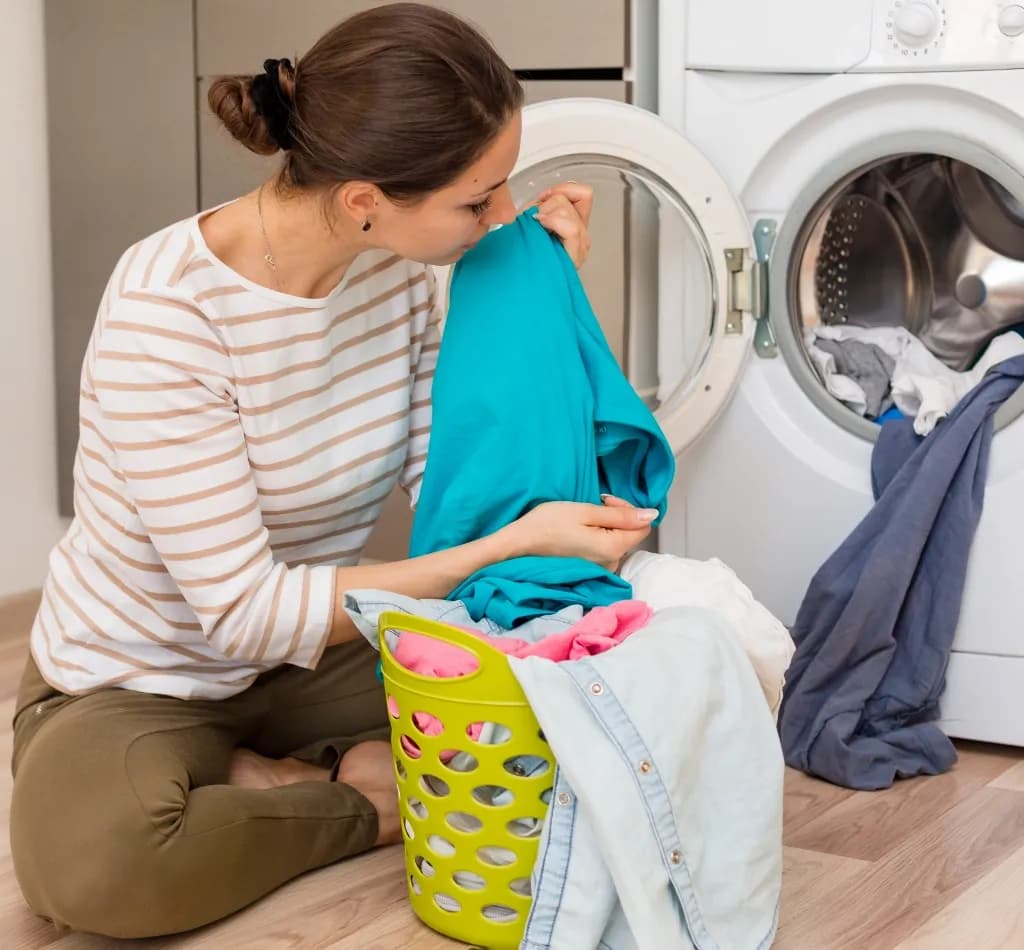 The Orchid Laundry Service